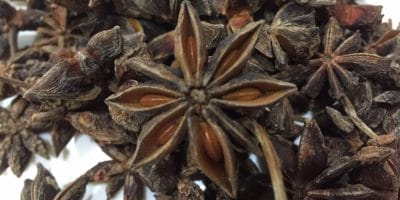 Star Anise / चक्र फूल: Common Names, Benefits and FAQs - Tasted Recipes