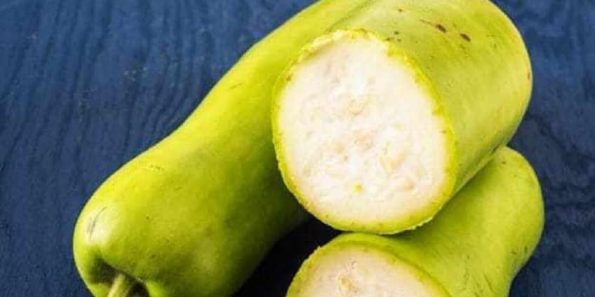 Bottle Gourd Benefits And Side Effects Tasted Recipes