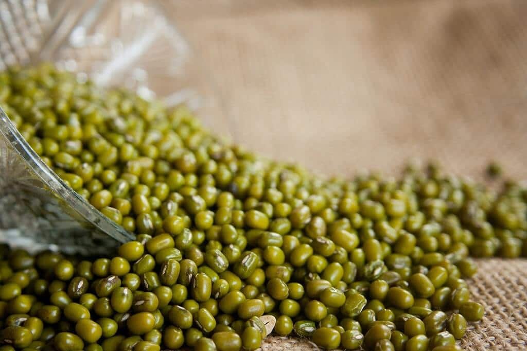 What Is Green Moong Called In English