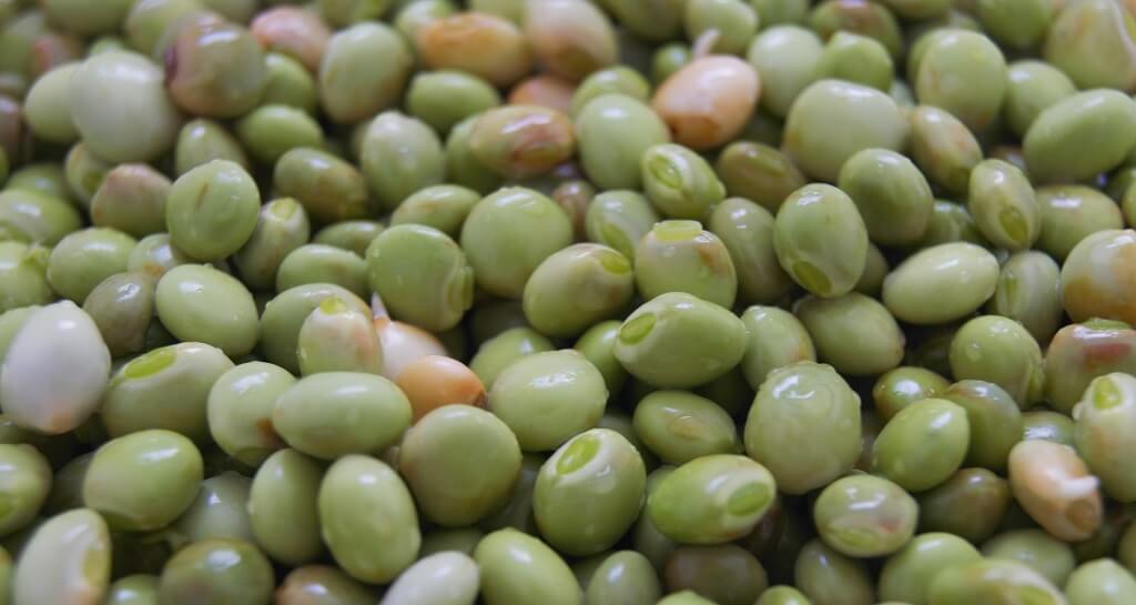 Pigeon Pea / तूर दाल: Recipes, Benefits and Side Effects - Tasted Recipes